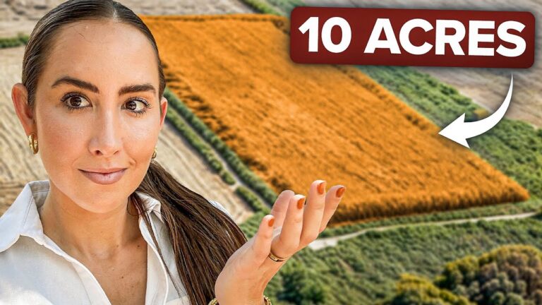 Why Investing in Overlooked Land Could Be a Smart Move